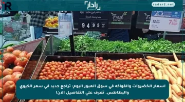أسعار الخضروات والفواكه في سوق العبور اليوم: تراجع جديد في سعر الكيوي والبطاطس. تعرف على التفاصيل الآن!